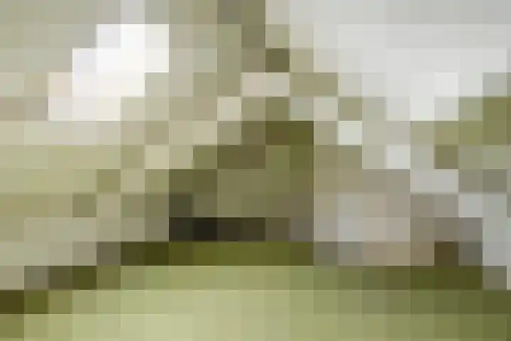 Anjelierlaan 12 Lutjebroek thumbnail 31