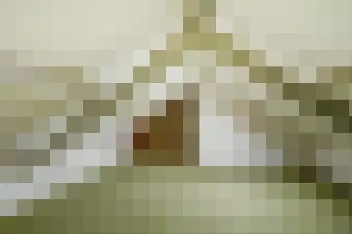 Anjelierlaan 12 Lutjebroek thumbnail 32