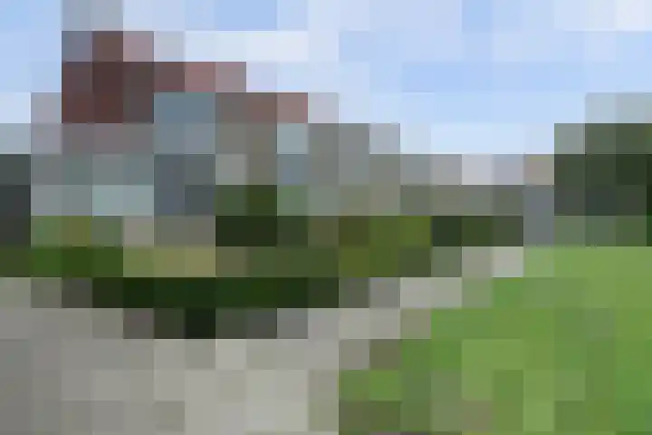 Anjelierlaan 12 Lutjebroek thumbnail 33