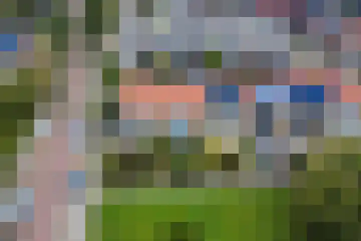 Anjelierlaan 12 Lutjebroek thumbnail 35