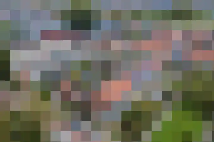 Anjelierlaan 12 Lutjebroek thumbnail 37