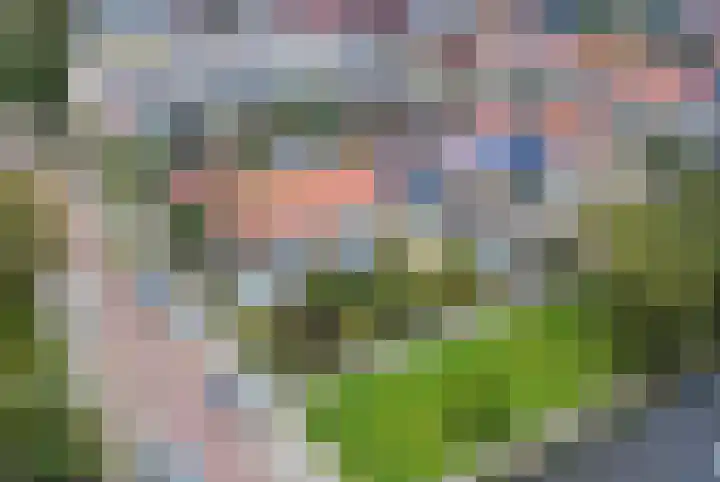 Anjelierlaan 12 Lutjebroek thumbnail 38