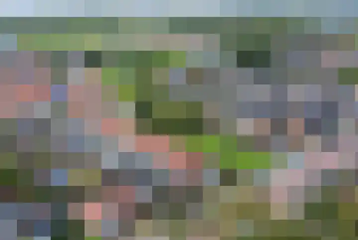 Anjelierlaan 12 Lutjebroek thumbnail 4