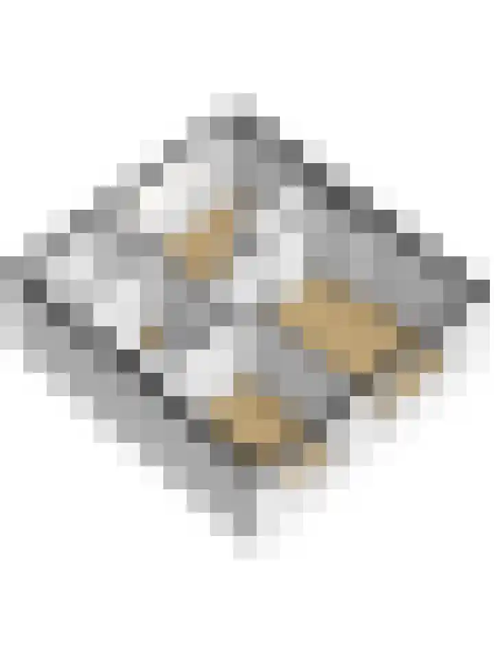 Anjelierlaan 12 Lutjebroek thumbnail 42