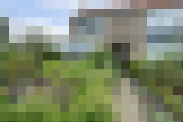 Anjelierlaan 12 Lutjebroek thumbnail 5
