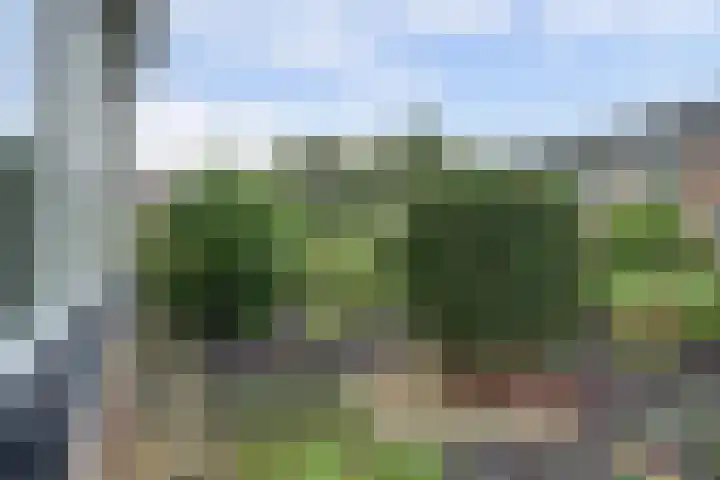 Anjelierlaan 12 Lutjebroek thumbnail 6