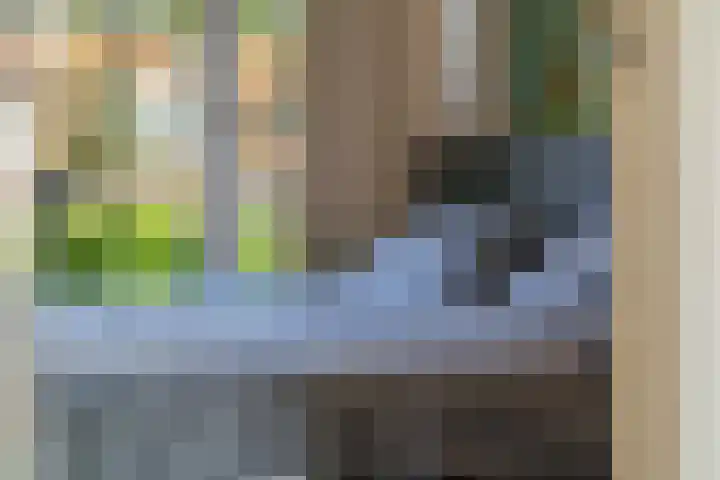 Anjelierlaan 18 Ede thumbnail 12