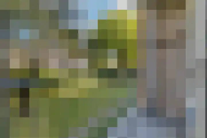 Anjelierlaan 18 Ede thumbnail 14