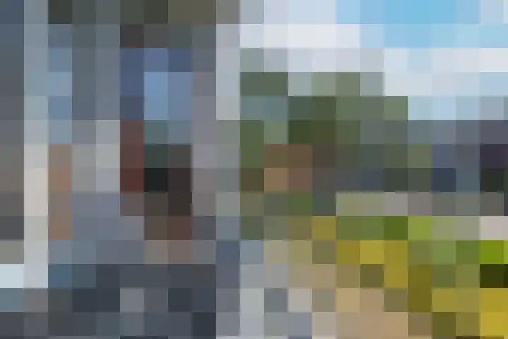 Anjelierlaan 18 Ede thumbnail 19