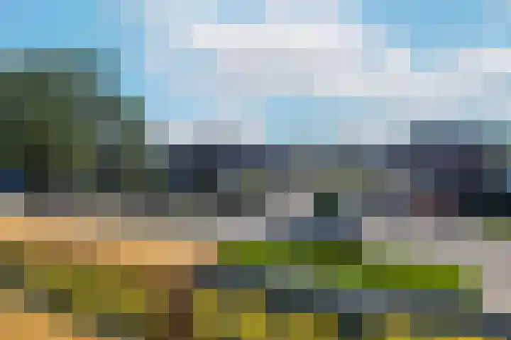 Anjelierlaan 18 Ede thumbnail 20