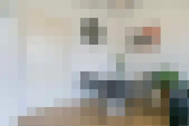 Anjelierlaan 18 Ede thumbnail 38