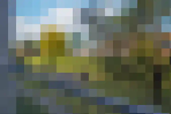 Anjelierlaan 18 Ede thumbnail 46