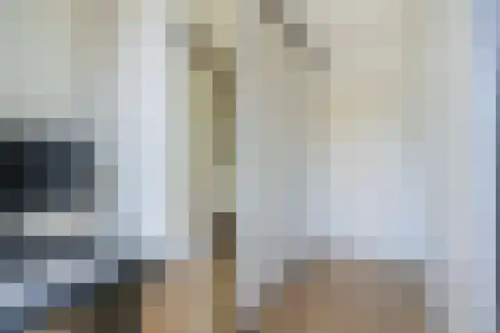 Anjelierlaan 18 Ede thumbnail 48
