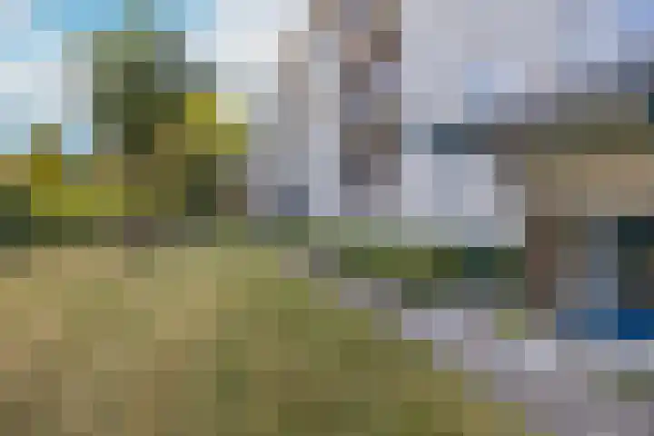 Anjelierlaan 18 Ede thumbnail 57