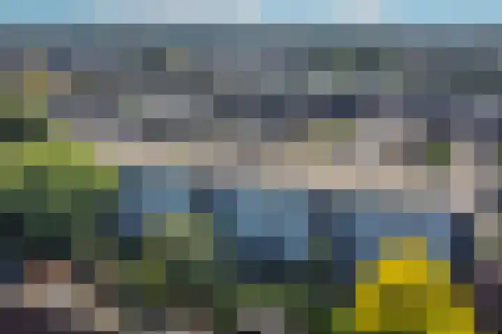 Anjelierlaan 18 Ede thumbnail 58