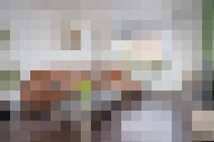 Anjelierlaan 21 Lutjebroek thumbnail 10