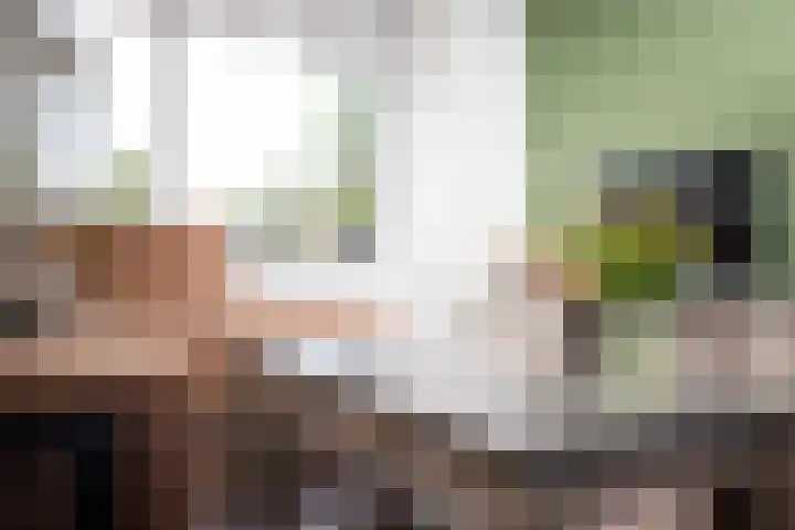 Anjelierlaan 21 Lutjebroek thumbnail 11