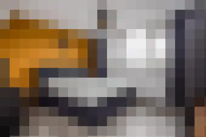 Anjelierlaan 21 Lutjebroek thumbnail 17