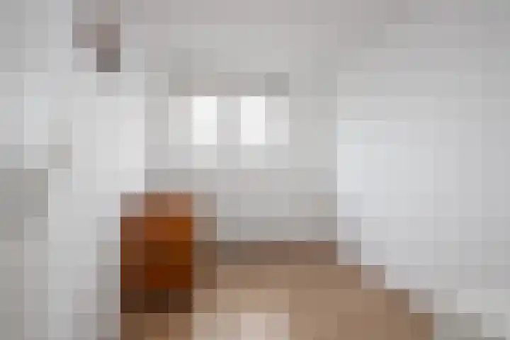 Anjelierlaan 21 Lutjebroek thumbnail 19