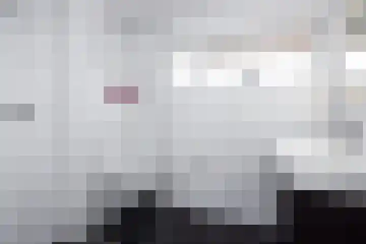Anjelierlaan 21 Lutjebroek thumbnail 22