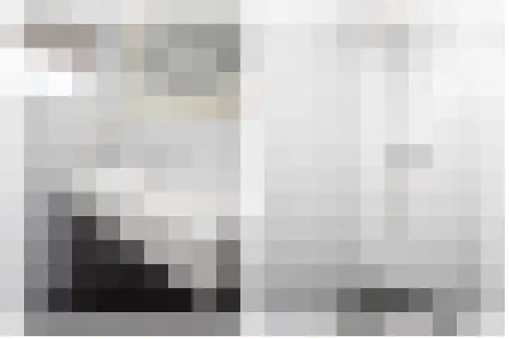Anjelierlaan 21 Lutjebroek thumbnail 23