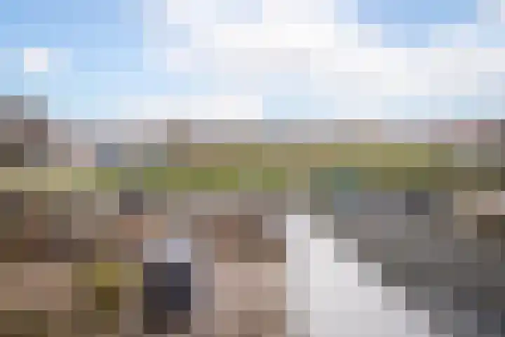 Anjelierlaan 21 Lutjebroek thumbnail 24