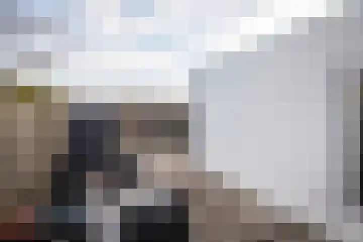 Anjelierlaan 21 Lutjebroek thumbnail 27
