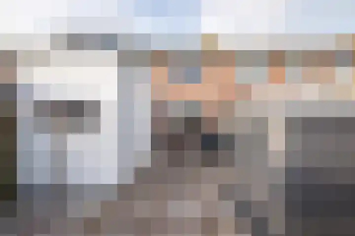 Anjelierlaan 21 Lutjebroek thumbnail 28