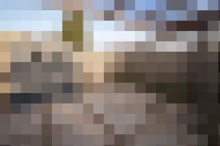 Anjelierlaan 21 Lutjebroek thumbnail 29