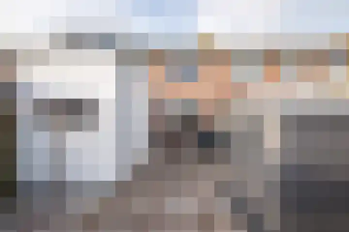 Anjelierlaan 21 Lutjebroek foto 3