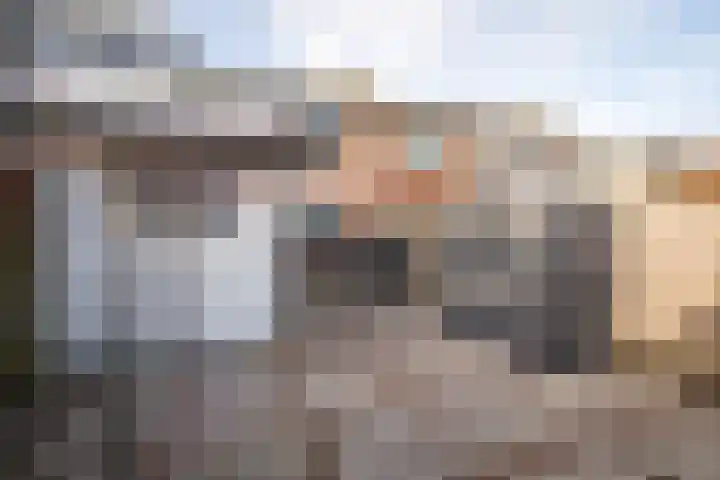 Anjelierlaan 21 Lutjebroek thumbnail 30