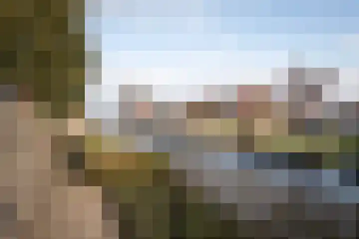 Anjelierlaan 21 Lutjebroek thumbnail 32