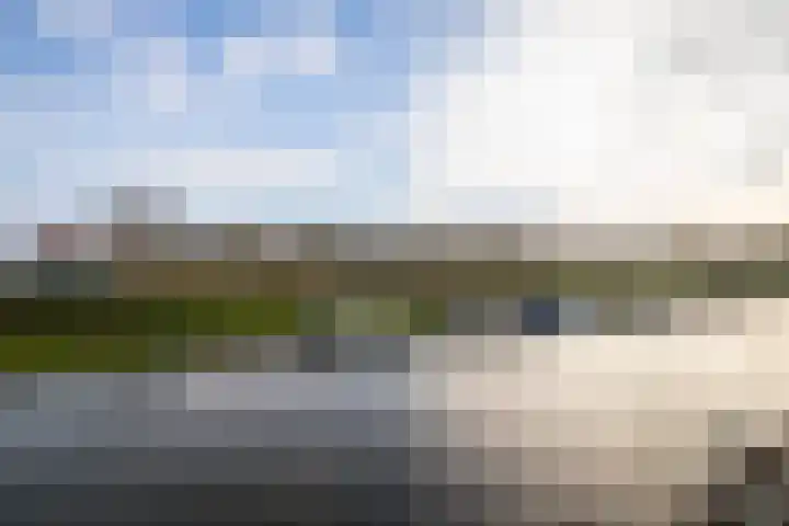 Anjelierlaan 21 Lutjebroek thumbnail 34