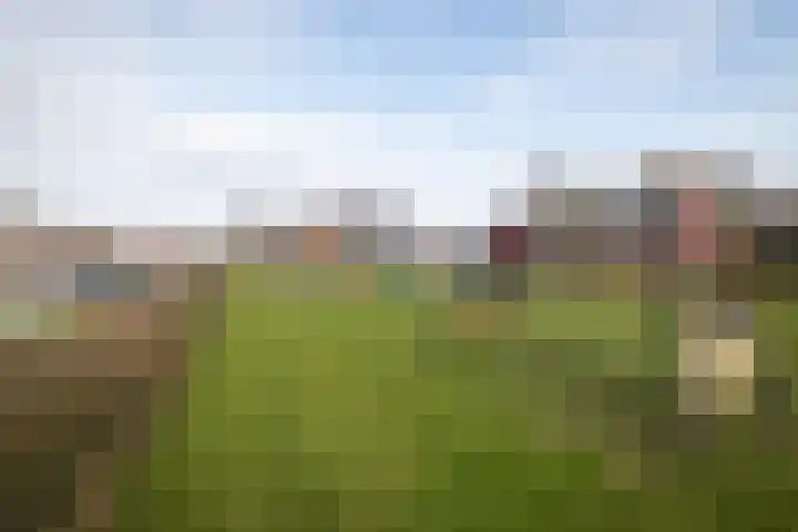 Anjelierlaan 21 Lutjebroek thumbnail 35