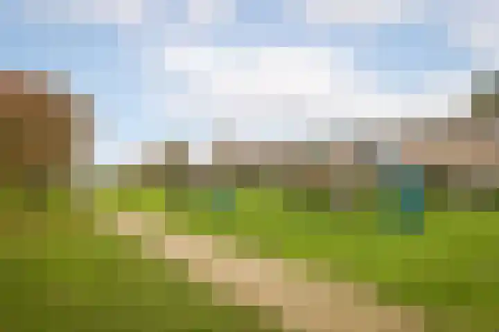 Anjelierlaan 21 Lutjebroek thumbnail 36