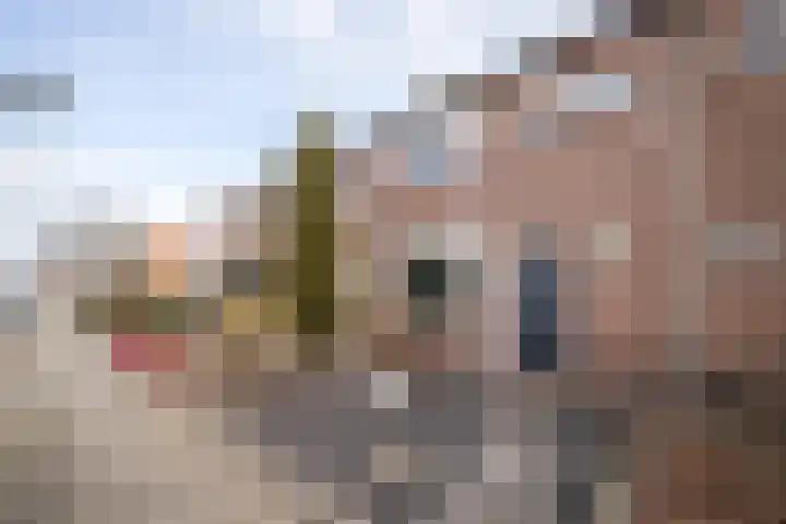 Anjelierlaan 21 Lutjebroek thumbnail 39
