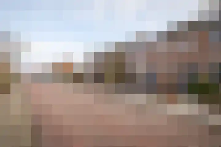 Anjelierlaan 21 Lutjebroek thumbnail 40