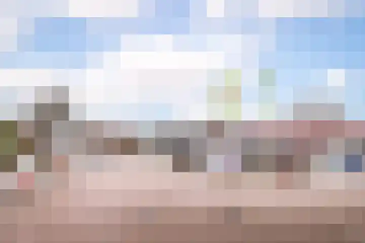 Anjelierlaan 21 Lutjebroek thumbnail 41
