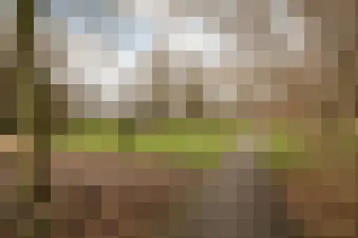Anjelierlaan 21 Lutjebroek thumbnail 43