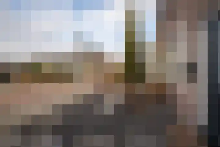 Anjelierlaan 21 Lutjebroek thumbnail 6