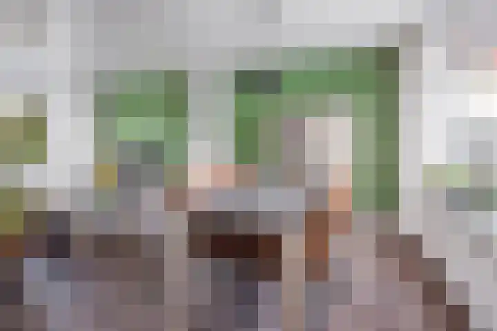 Anjelierlaan 21 Lutjebroek thumbnail 9