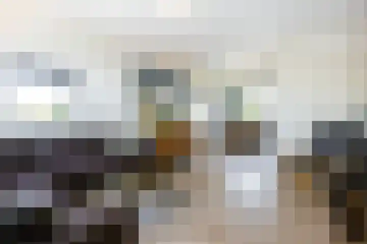 Anjelierlaan 24 2 Ede thumbnail 10
