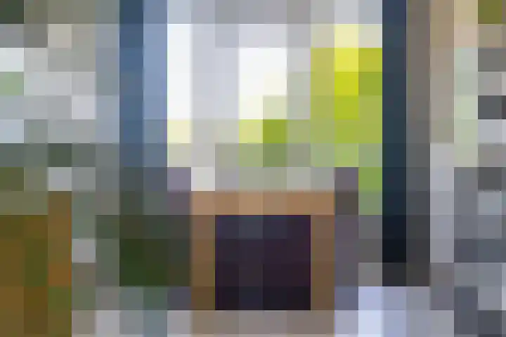 Anjelierlaan 24 2 Ede thumbnail 11