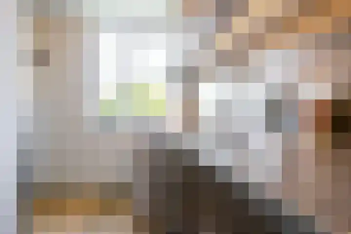 Anjelierlaan 24 2 Ede thumbnail 14
