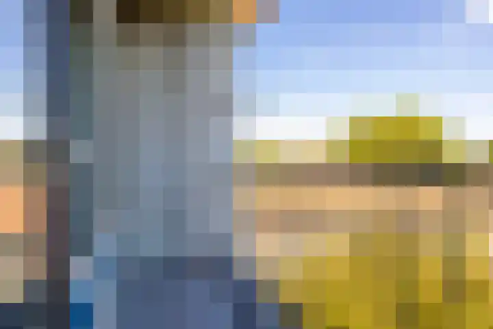 Anjelierlaan 24 2 Ede thumbnail 17