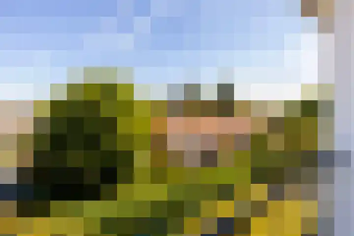 Anjelierlaan 24 2 Ede thumbnail 18
