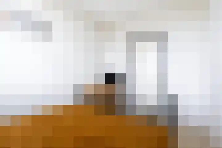 Anjelierlaan 24 2 Ede thumbnail 20