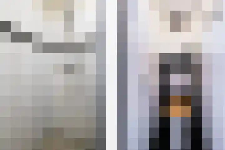 Anjelierlaan 24 2 Ede thumbnail 25