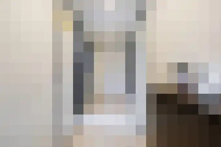 Anjelierlaan 24 2 Ede thumbnail 26