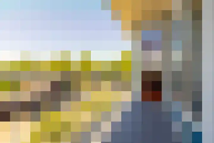 Anjelierlaan 24 2 Ede thumbnail 28